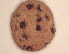 chocolate chip cookie